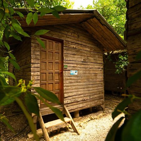 Olympos Yakamoz Pansiyon エクステリア 写真
