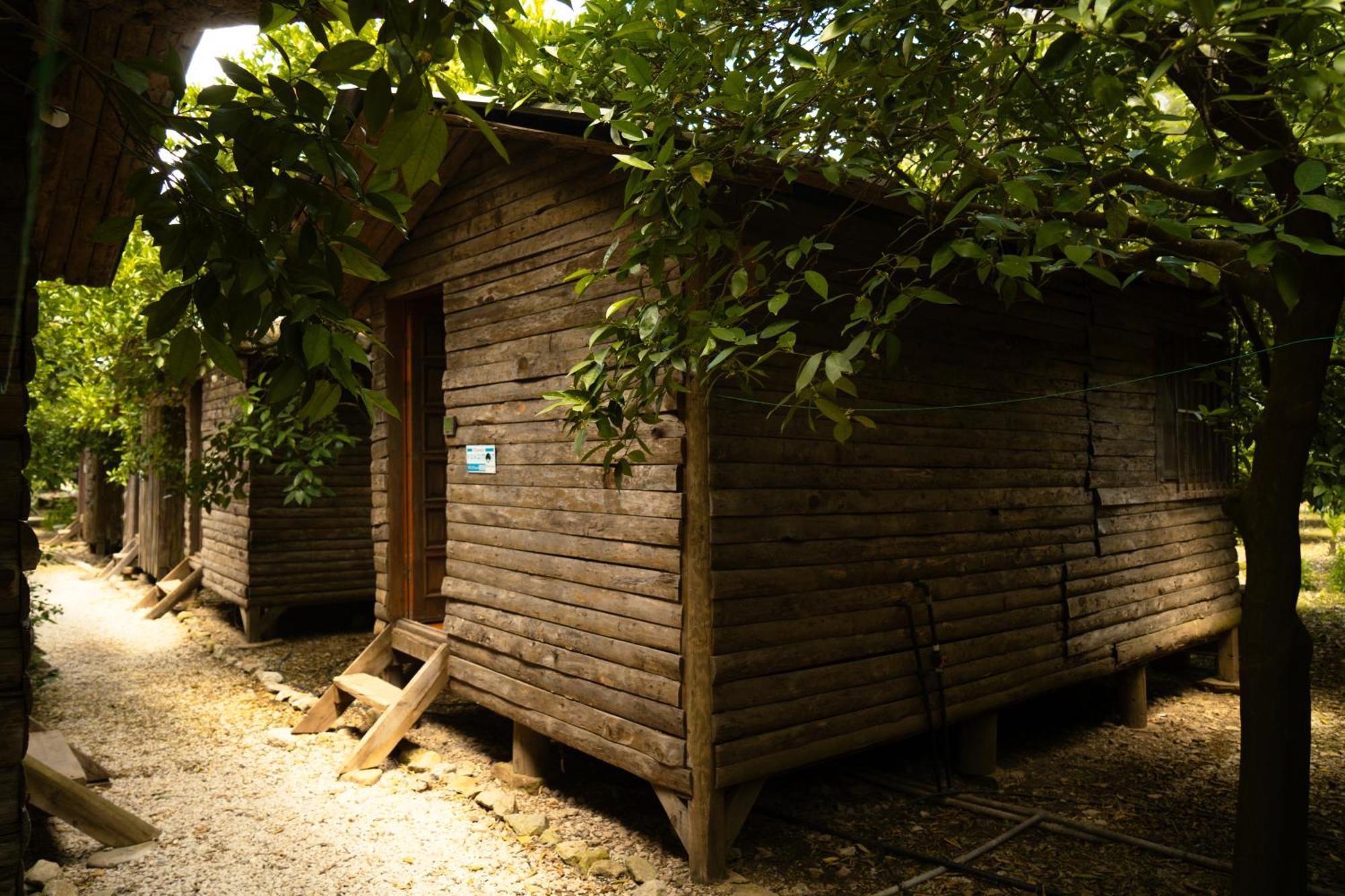 Olympos Yakamoz Pansiyon エクステリア 写真