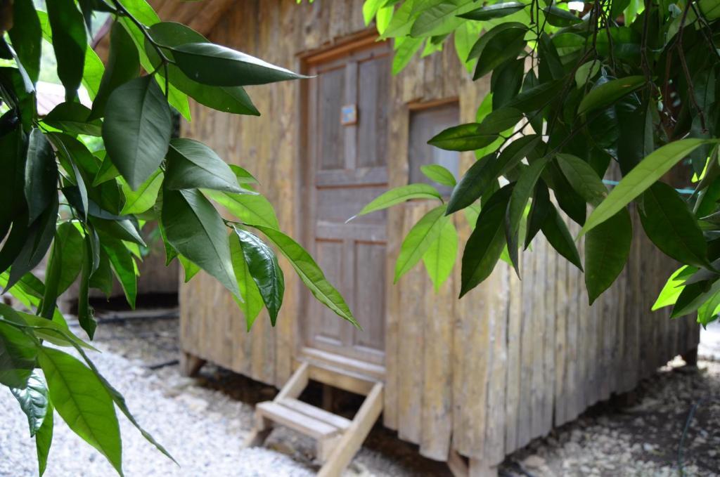 Olympos Yakamoz Pansiyon 部屋 写真