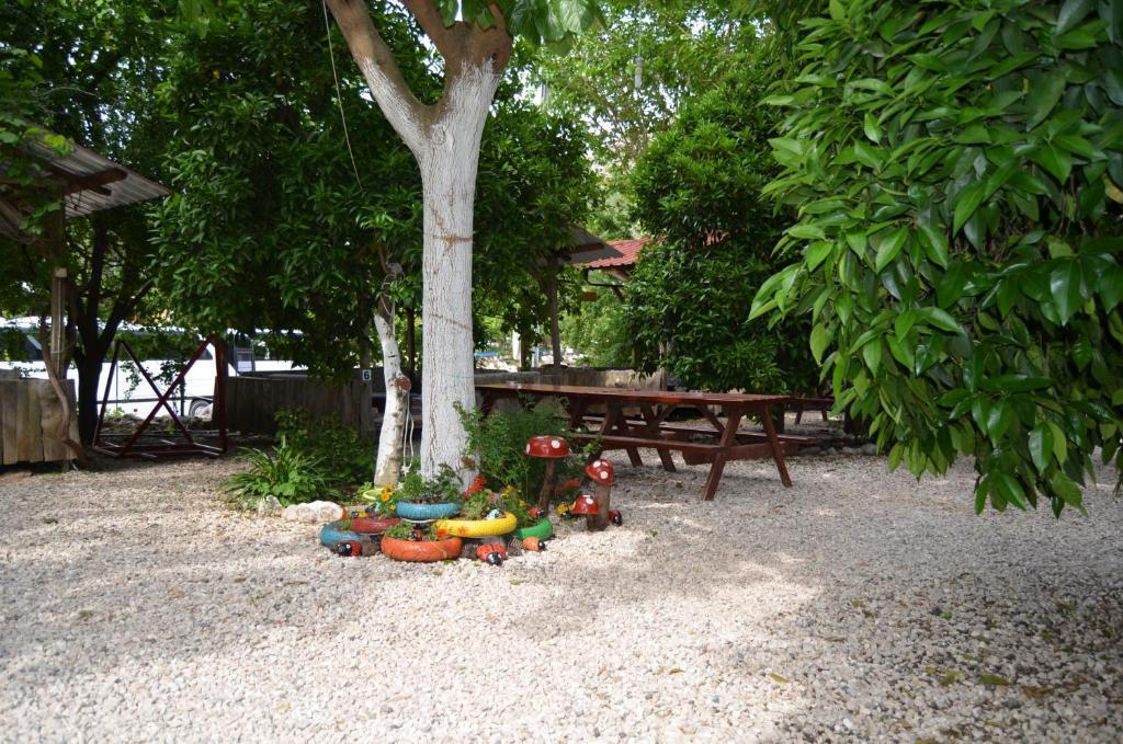 Olympos Yakamoz Pansiyon エクステリア 写真
