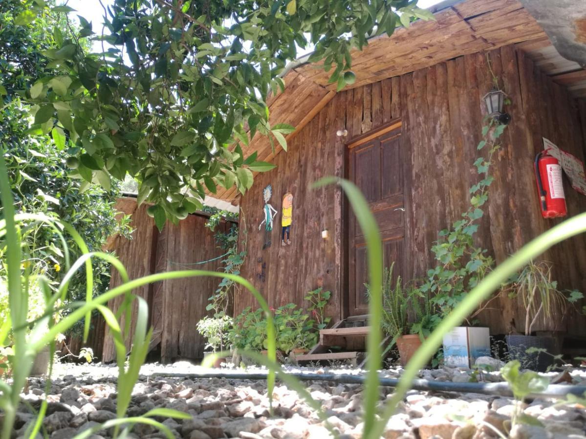 Olympos Yakamoz Pansiyon エクステリア 写真