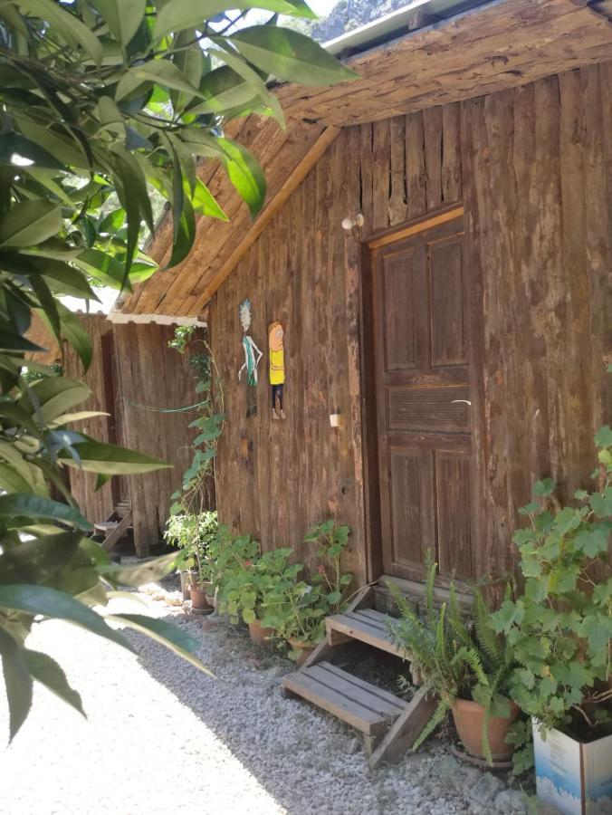 Olympos Yakamoz Pansiyon エクステリア 写真