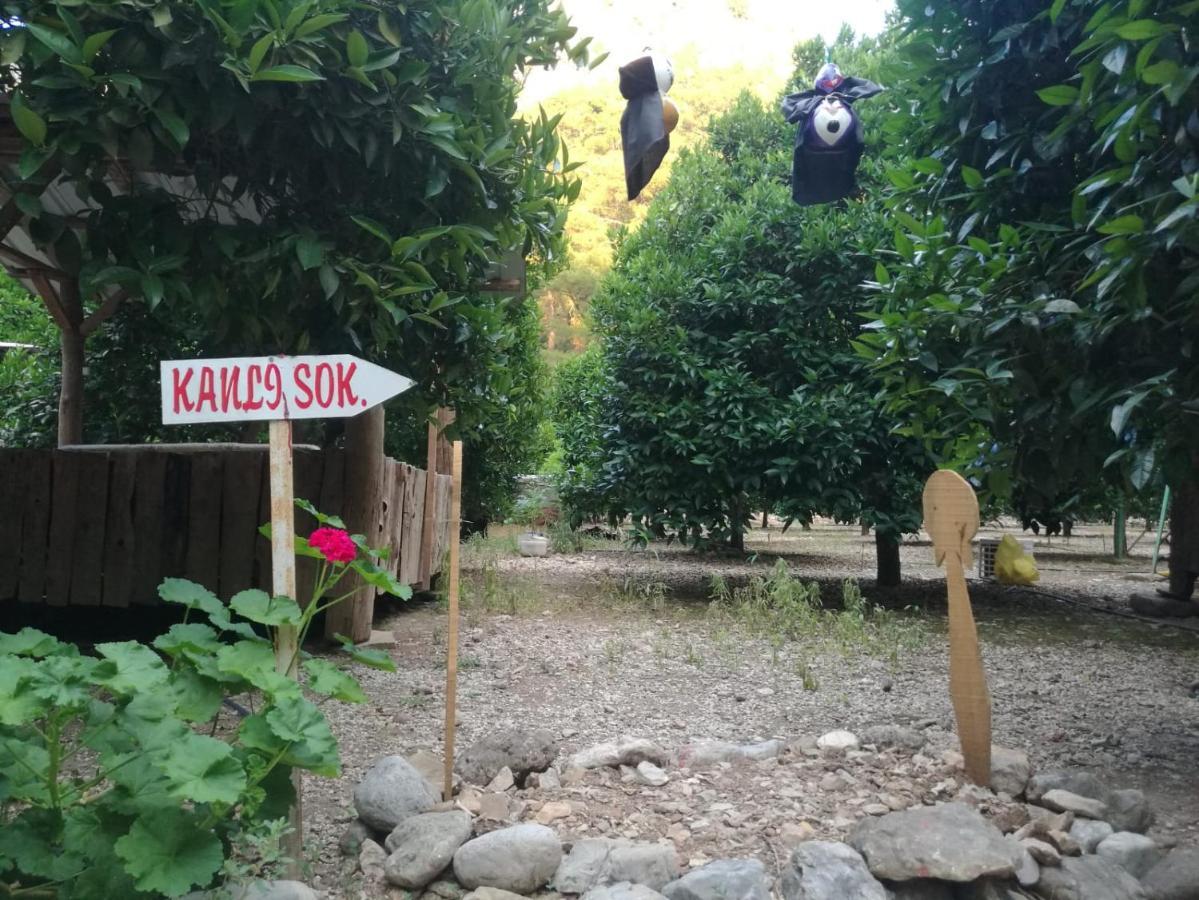Olympos Yakamoz Pansiyon エクステリア 写真