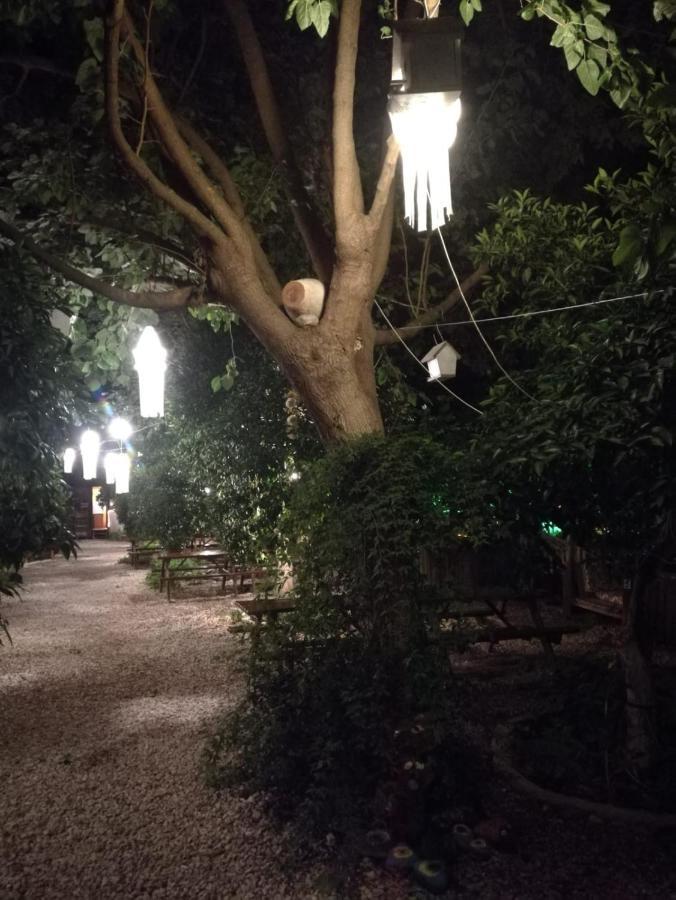 Olympos Yakamoz Pansiyon エクステリア 写真