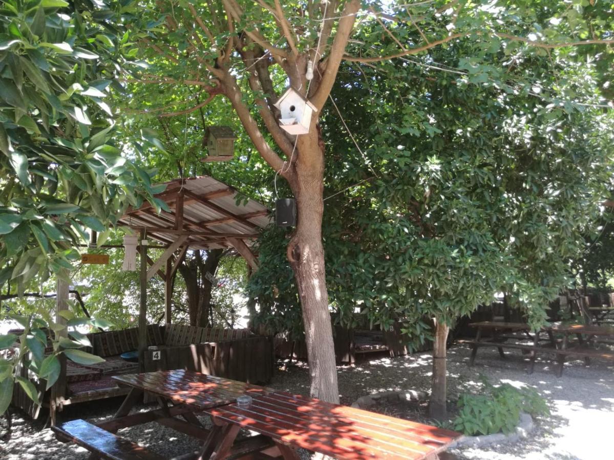 Olympos Yakamoz Pansiyon エクステリア 写真