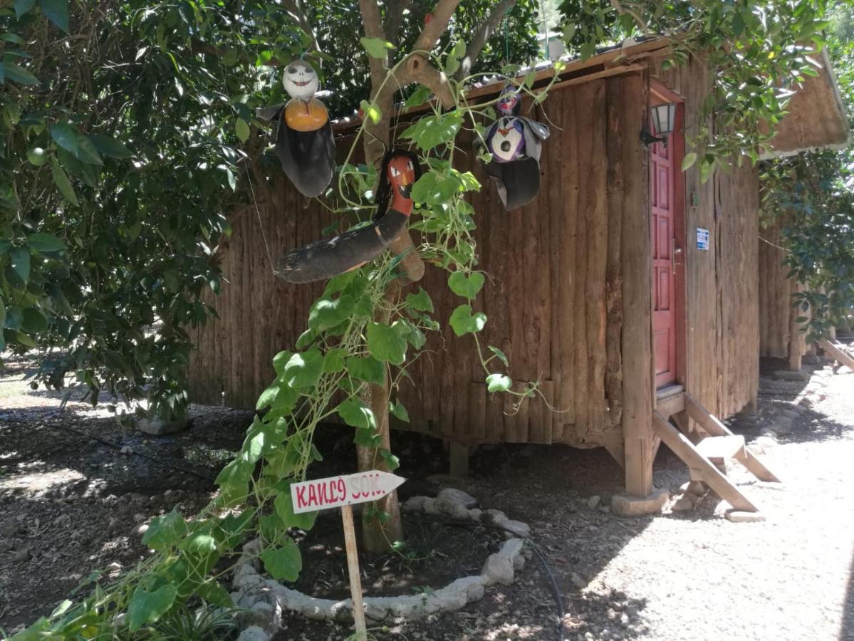 Olympos Yakamoz Pansiyon エクステリア 写真