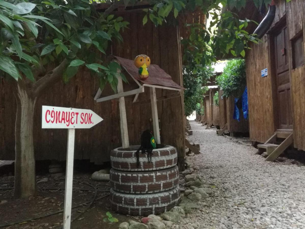 Olympos Yakamoz Pansiyon エクステリア 写真
