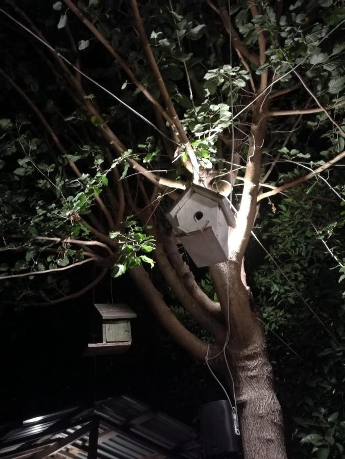 Olympos Yakamoz Pansiyon エクステリア 写真