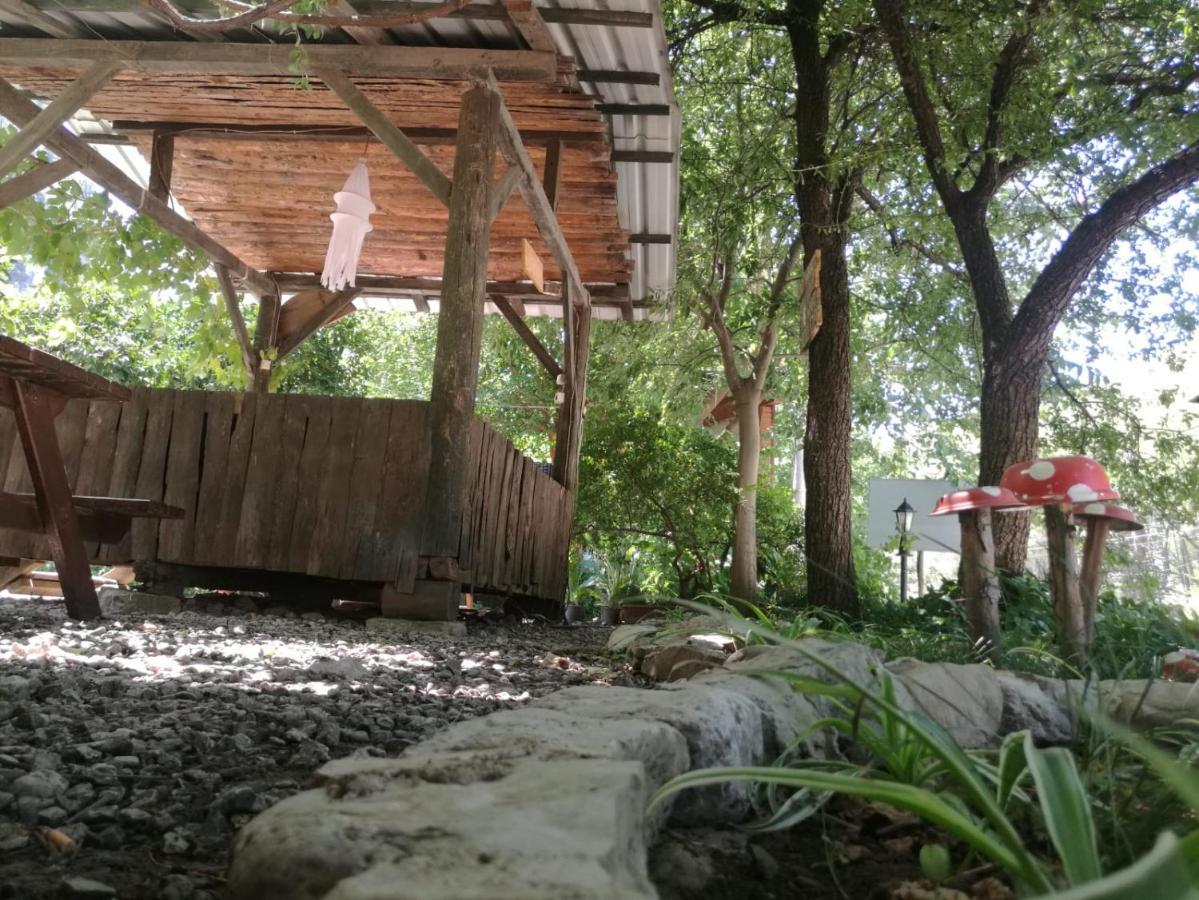 Olympos Yakamoz Pansiyon エクステリア 写真