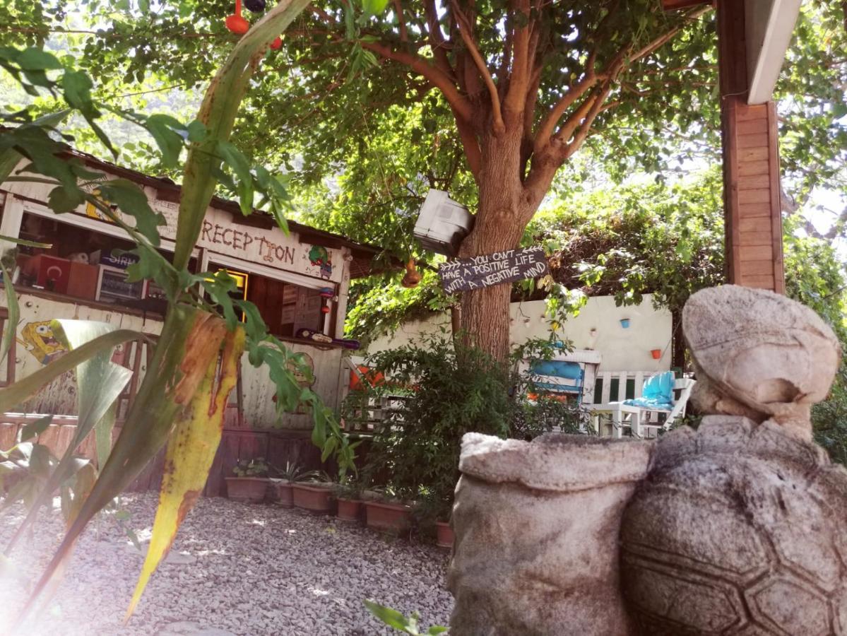 Olympos Yakamoz Pansiyon エクステリア 写真