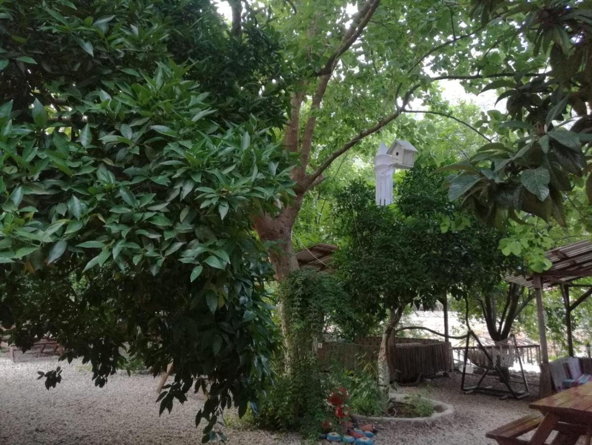 Olympos Yakamoz Pansiyon エクステリア 写真