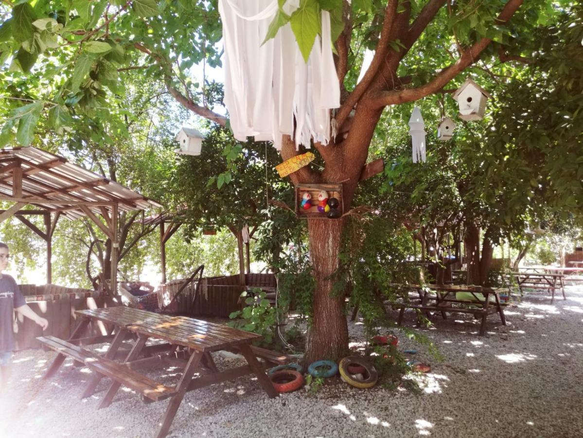 Olympos Yakamoz Pansiyon エクステリア 写真